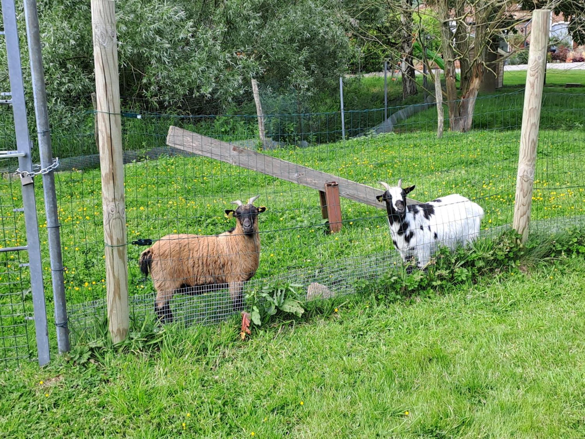 Monts De Flandre Insolite Berthen Exterior photo